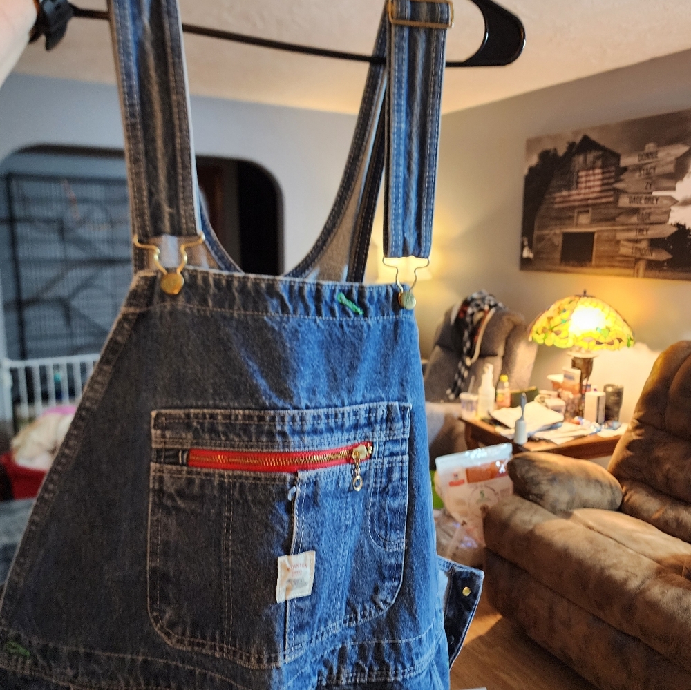 Pointer Bibbed Overalls - Picture 4 of 7